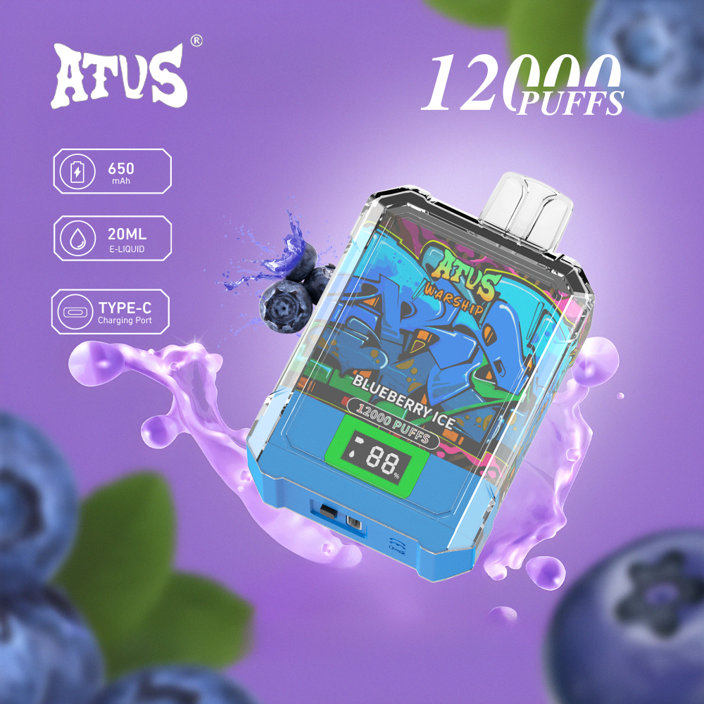 DE013A 12000 Puffs Disposable Vape with LED display screen and adjustable airflow
