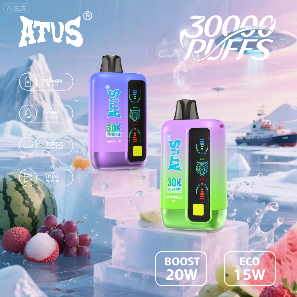 30000 Puffs Disposable Vape with LED display screen Wholesale Factory Vapor Online Shopping Rechargeable Puff